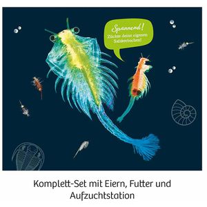 Produktbild für Experimentierkasten Kosmos 65787, Urzeit-Krebse