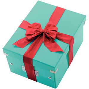 Produktbild für Aufbewahrungsbox Leitz 6044-00-51 Click&amp;Store, 21L