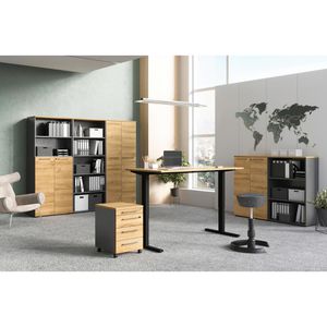 Produktbild für Aktenregal Germania Agenda 4235-547, aus Holz