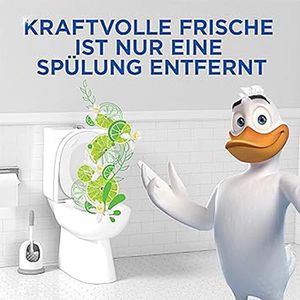 Produktbild für WC-Duftspüler WC-Ente Active Clean Citrus Splash