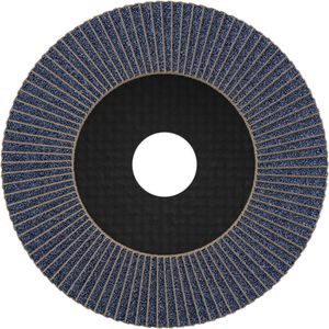 Produktbild für Fächerschleifscheibe Bosch PRO X571