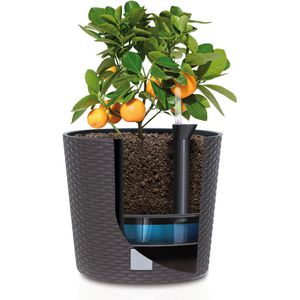 Produktbild für Übertopf Prosperplast Rato Round, dunkelbraun, Ø 20 x 19 cm