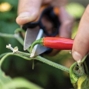 Produktbild für Kräuterschere Fiskars Solid SP220, Edelstahl