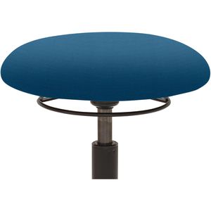 Produktbild für Fitness-Hocker Mayer myMOBILIS, 1166 30326