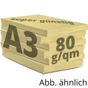 Produktbild für Kopierpapier Papyrus Rainbow 88042278