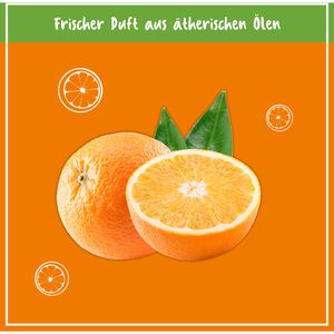 Produktbild für Hygienereiniger Poliboy NCP, Küche, 02500