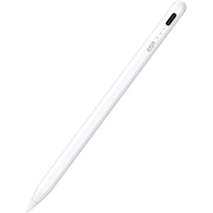 Eingabestift
