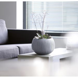 Produktbild für Übertopf Prosperplast Beton Bowl, grau, Ø 29 x 20 cm