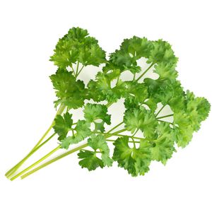 Produktbild für Saatpad Veritable Lingot, Krause Petersilie