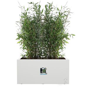 Produktbild für Pflanzkasten elho Vivo Next lang weiß