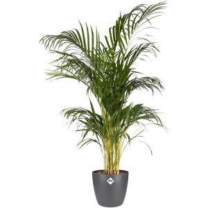Produktbild für Übertopf elho Brussels Rund, anthrazit, Ø 30 x 27 cm