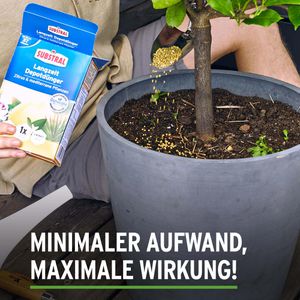 Produktbild für Dünger Substral für Zitrus &amp; mediterrane Pflanzen
