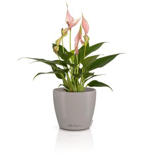 Produktbild für Übertopf Lechuza CLASSICO Color DECO 10, sandbraun, Ø 11x10 cm