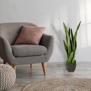 Produktbild für Kunstpflanze I.GE.A. Sansevieria