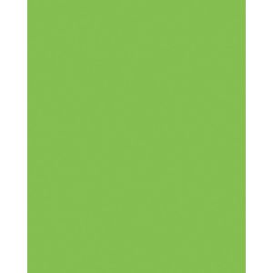 Produktbild für Tonpapier Folia 6118/3/51, A3