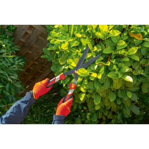 Produktbild für Heckenschere Wolf-Garten HS-WP, 73AHA009650