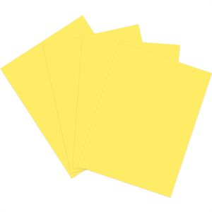 Produktbild für Kopierpapier Papyrus Rainbow 88042348