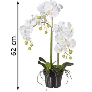 Produktbild für Kunstblume Creativ-green Orchidee, Phalaenopsis
