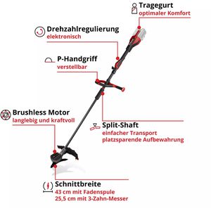 Produktbild für Rasentrimmer Einhell-Professional GP-BC 36/430 Li P BL-Solo