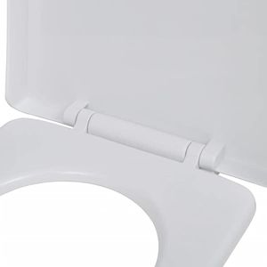 Produktbild für WC-Sitz vidaXL 141763, D-Form, aus Kunststoff