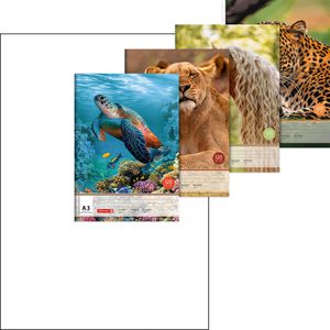 Zeichenblock Brunnen 104734509, A3