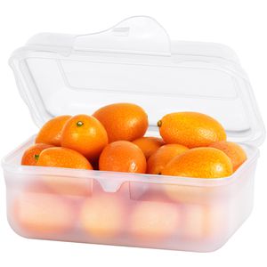 Produktbild für Lunchbox Rotho Funbox 1718900096, Kunststoff