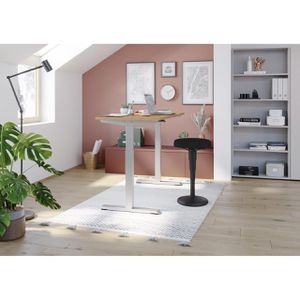 Produktbild für Stehhilfe Hammerbacher VSST2/D/D