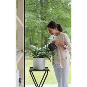 Produktbild für Gießkanne elho B.for Soft, anthrazit