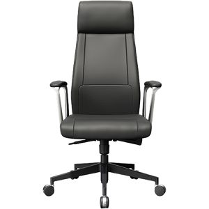 Chefsessel FlexiSpot LC7B