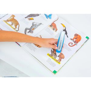 Produktbild für Aufnahmesticker Betzold 755367, Stickerbogen-Set rot