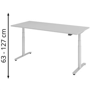 Schreibtisch Hammerbacher XDLR19, lichtgrau / silber