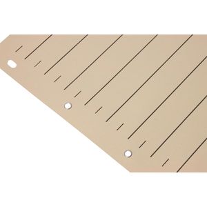 Produktbild für Trennblätter Böttcher-AG geöst, A4