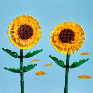 Produktbild für Klemmbausteine LEGO Botanicals 40524, ab 8 Jahre