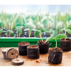 Produktbild für Quelltabletten Romberg 10091020, 20 Stück