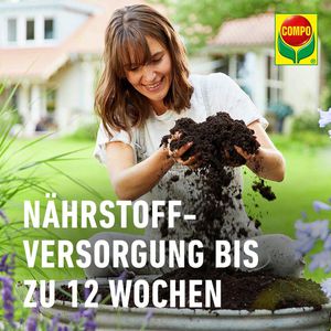 Produktbild für Blumenerde Compo SANA Grünpflanzen- und Palmenerde