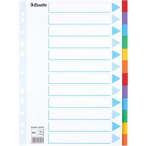 Register Esselte 100194, A4, blanko