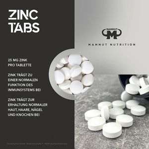 Produktbild für Zink Mammut Zinc, 240 Tabletten