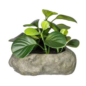 Produktbild für Kunstpflanze Creativ-green Sukkulenten-Mix