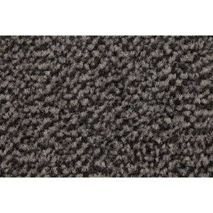 Produktbild für Schmutzfangmatte Hamat