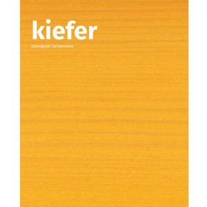 Produktbild für Holzlasur Remmers HK-Lasur 3in1, 2,5l