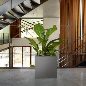 Produktbild für Übertopf Lechuza CANTO Premium 40 low, anthrazit, 40x40x40 cm