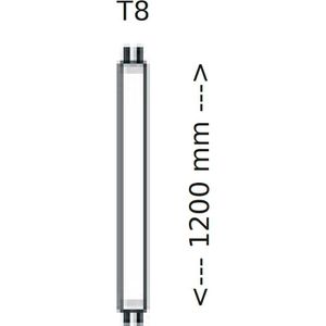Produktbild für LED-Röhre Blulaxa T8 / G13, 120 cm