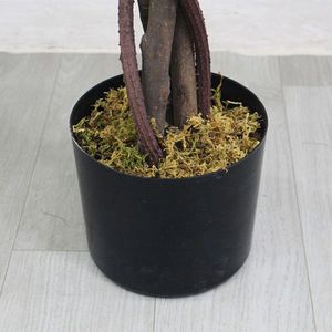 Produktbild für Kunstpflanze Decovego Ahornbaum
