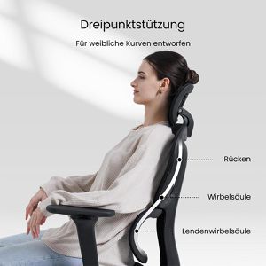 Produktbild für Bürostuhl FlexiSpot BS5B-PRO