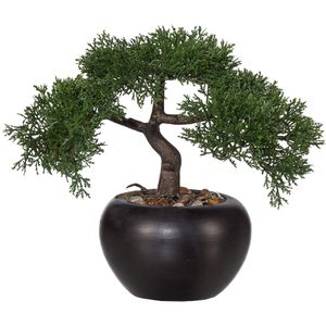 Kunstpflanze Creativ-green Bonsai Zeder