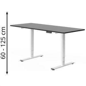 Produktbild für Schreibtisch FlexiSpot E5W, schwarz / weiß