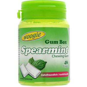 Produktbild für Kaugummis Woogie Spearmint