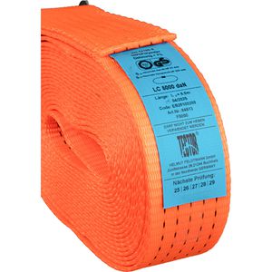 Produktbild für Spanngurt Feldtmann TECTOR, orange, mit Ratsche