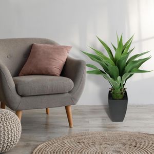 Produktbild für Kunstpflanze I.GE.A. Agave