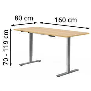 Produktbild für Schreibtisch FlexiSpot E1S Pro, ahorn / grau